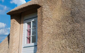 Hairmyres thatch roof disadvantages